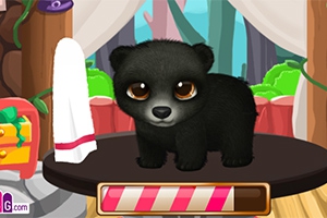 Paws to Beauty: Back to the Wild Paws to Beauty: Back to the Wild
