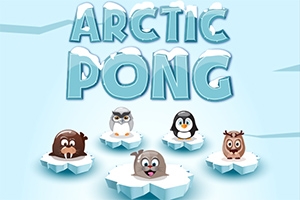 Arctic Pong Arctic Pong