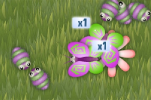 Butterfly Bash Butterfly Bash