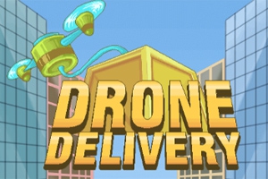 Drone Delivery Drone Delivery