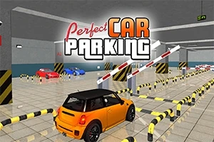 Perfect Car Parking